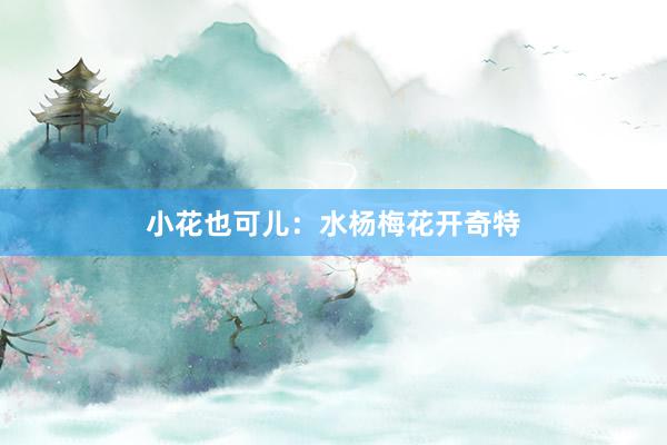 小花也可儿：水杨梅花开奇特
